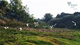 Barranc de Xiva