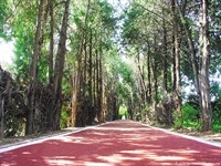 Carril bici (zona dels Horts)