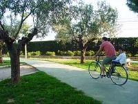 Carril bici Av. Jaume I - 001