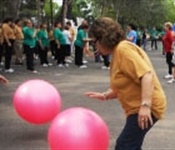 Nova programació d'activitats per a les Persones Majors