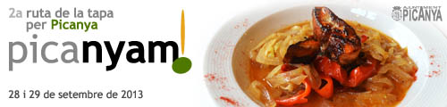 bnr_picanyam_2013 bnr_picanyam_2013