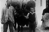 1890.Vicent Ciscar, el seu fill Ricardo, i la seua dona Francisca Pamplo al carrer s. Francesc. venien herba en garbes
