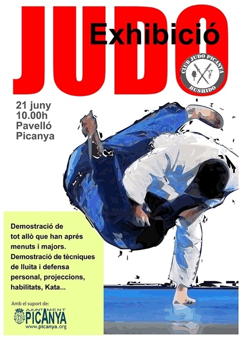cartell_judo_juny_2014