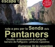 cartell-pantaners