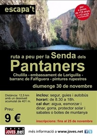 cartell-pantaners