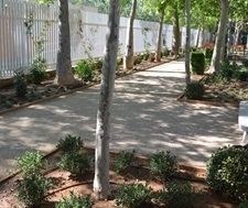 Renovació i ordenació de la jardineria i la il·luminació av. Generalitat Valenciana