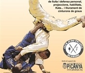 Exhibició de judo al pavelló esportiu municipal