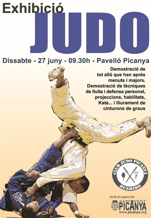 exhbicio_judo_2015
