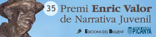 bnr_35_enricvalor