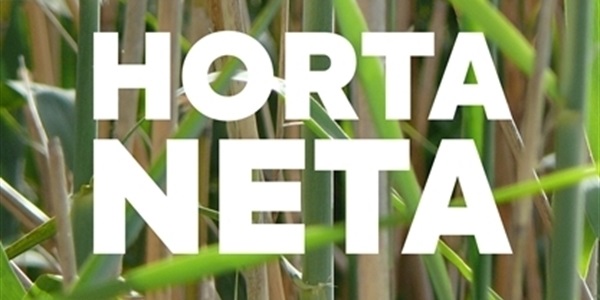 Nova programació d'activitats destinades a joves