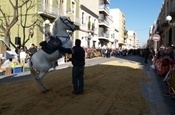 Festa Sant Antoni 2012 P1157805