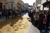 Festa Sant Antoni 2012 P1157847