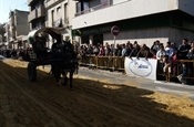 Festa Sant Antoni 2012 P1157849