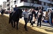 Festa Sant Antoni 2012 P1157861