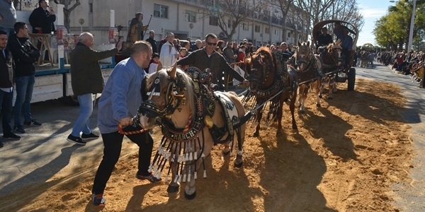 Festa de Sant Antoni (carruatges i cavalls)