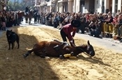 Festa Sant Antoni 2012 P1157896