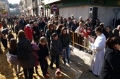 Festa Sant Antoni 2012 P1157914