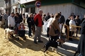 Festa Sant Antoni 2012 P1157946