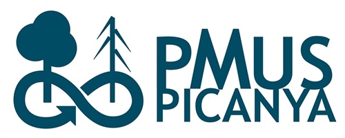 logo_pmus_picanya_900pxl