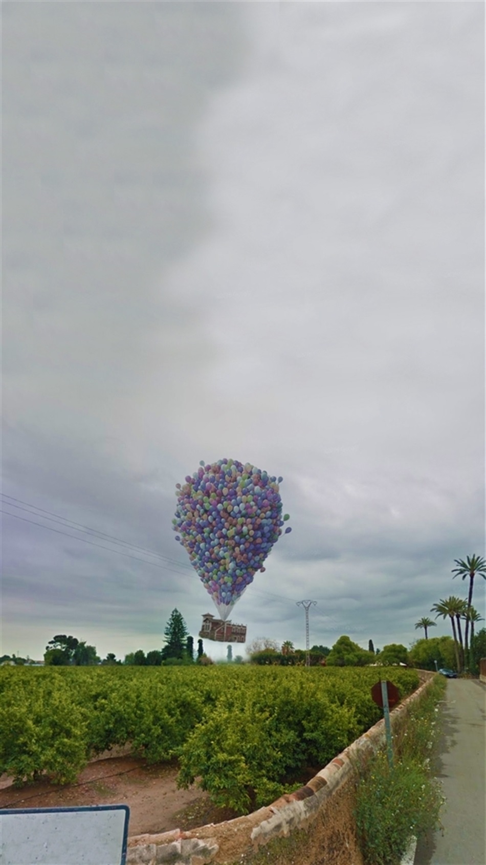 UP UP