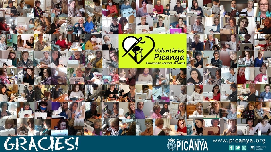collage_costus collage_costus
