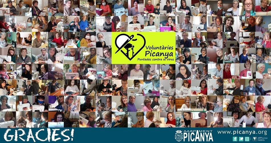 collage_costus collage_costus