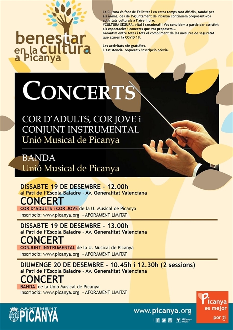 programacio_benestar_de_unio_musical_3_concerts programacio_benestar_de_unio_musical_3_concerts