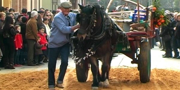 Festa de Sant Antoni 2011