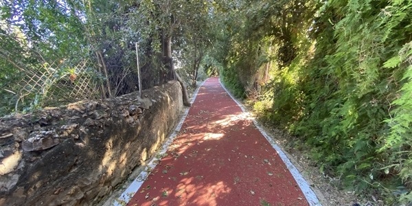 Millores al tram de carril bici-vianants de la zona dels Horts