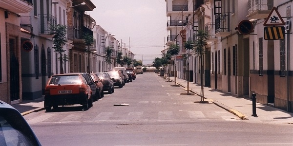 Inici de la plantació d'arbres als carrers