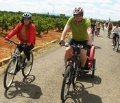 Més de 200 participants al cicle passeig per l'Horta