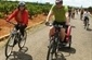 Més de 200 participants al cicle passeig per l'Horta