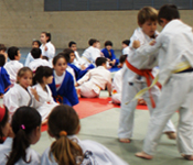 Èxit dels judokes picanyera al X Trofeu Vila de Picanya
