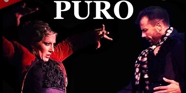 Espectacle flamenc "En estado puro"