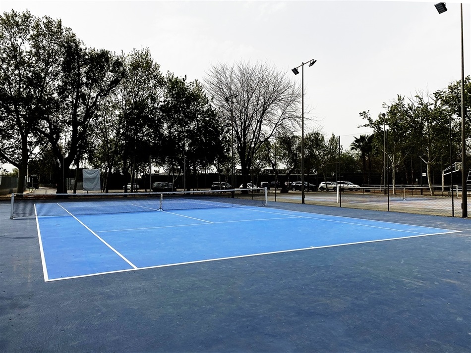 tenis tenis