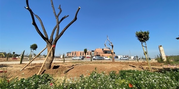 Arranquen els treballs dels jardins al voltant de la residència de majors de la rotonda d'Alfaro