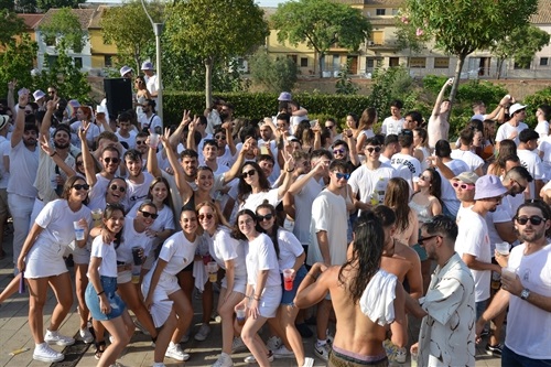 DSC_0519 DSC_0519